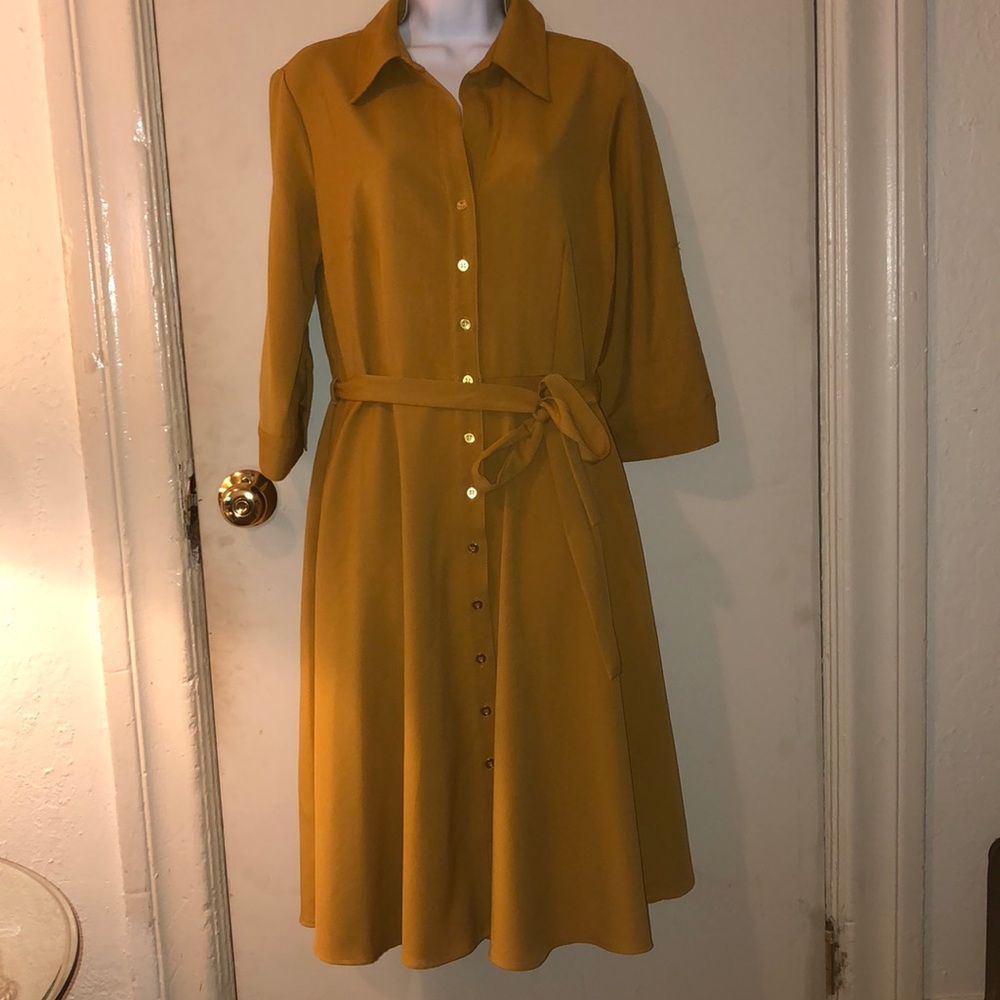 Sharagano dress